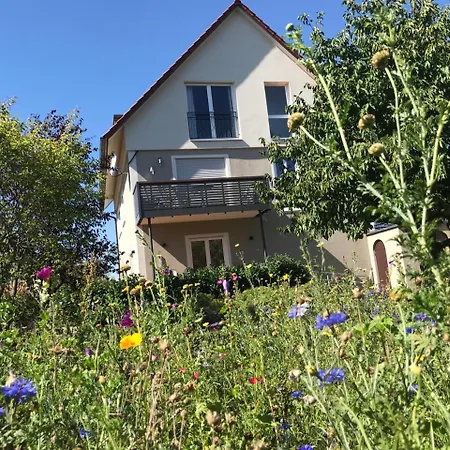 Scheuring 1.og Apartment *