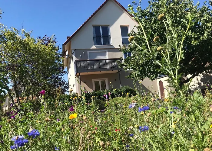 Scheuring 1.og Apartment *